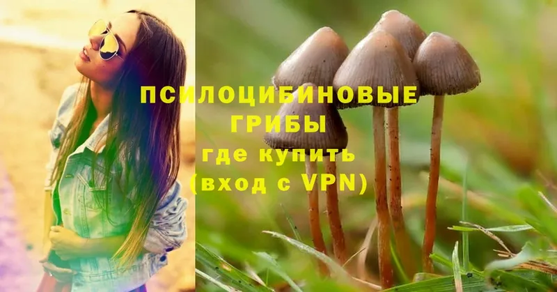 Псилоцибиновые грибы Magic Shrooms  Магадан 